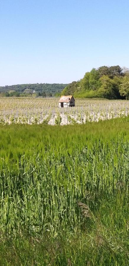 Le Clos De La Chesneraie Saint Georges sur Cher Bagian luar foto